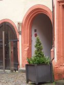 Eingang zum Pfalzmuseum in der Forchheimer Kaiserpfalz
